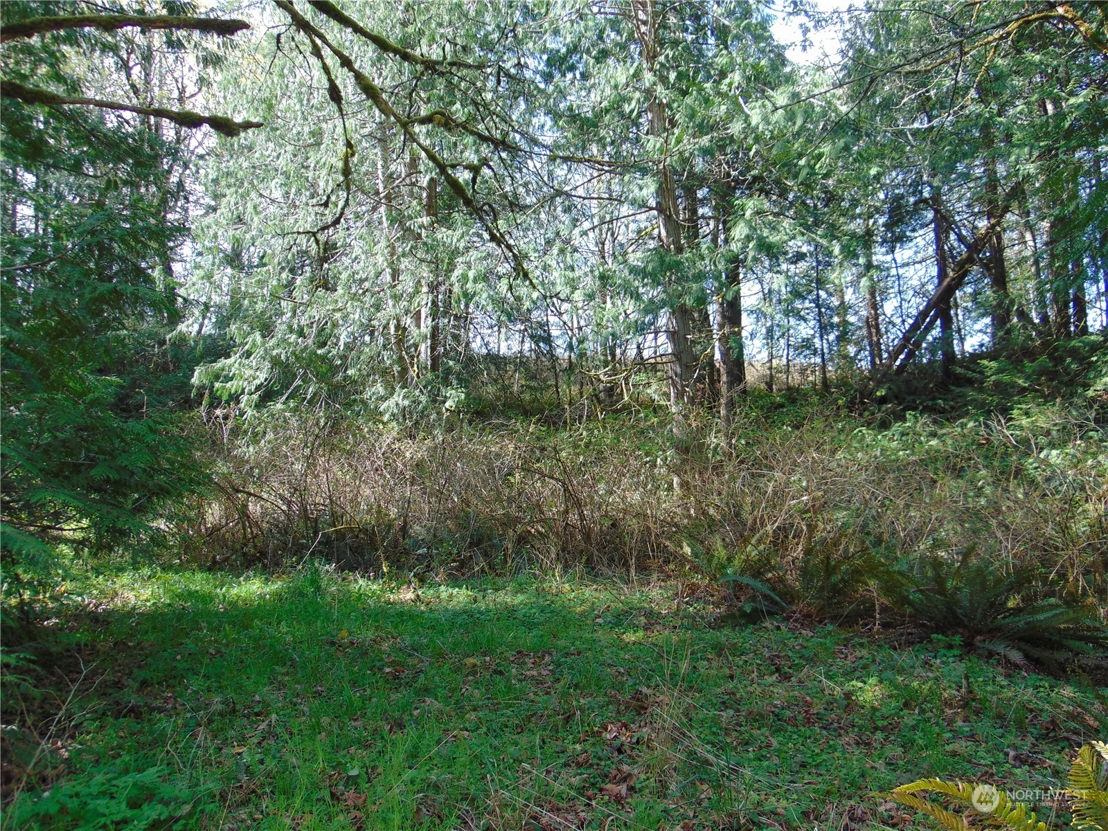 3001 Chicken Coop Road Sequim, WA 98382 - Photo 2 of 26 Gallery Image 2