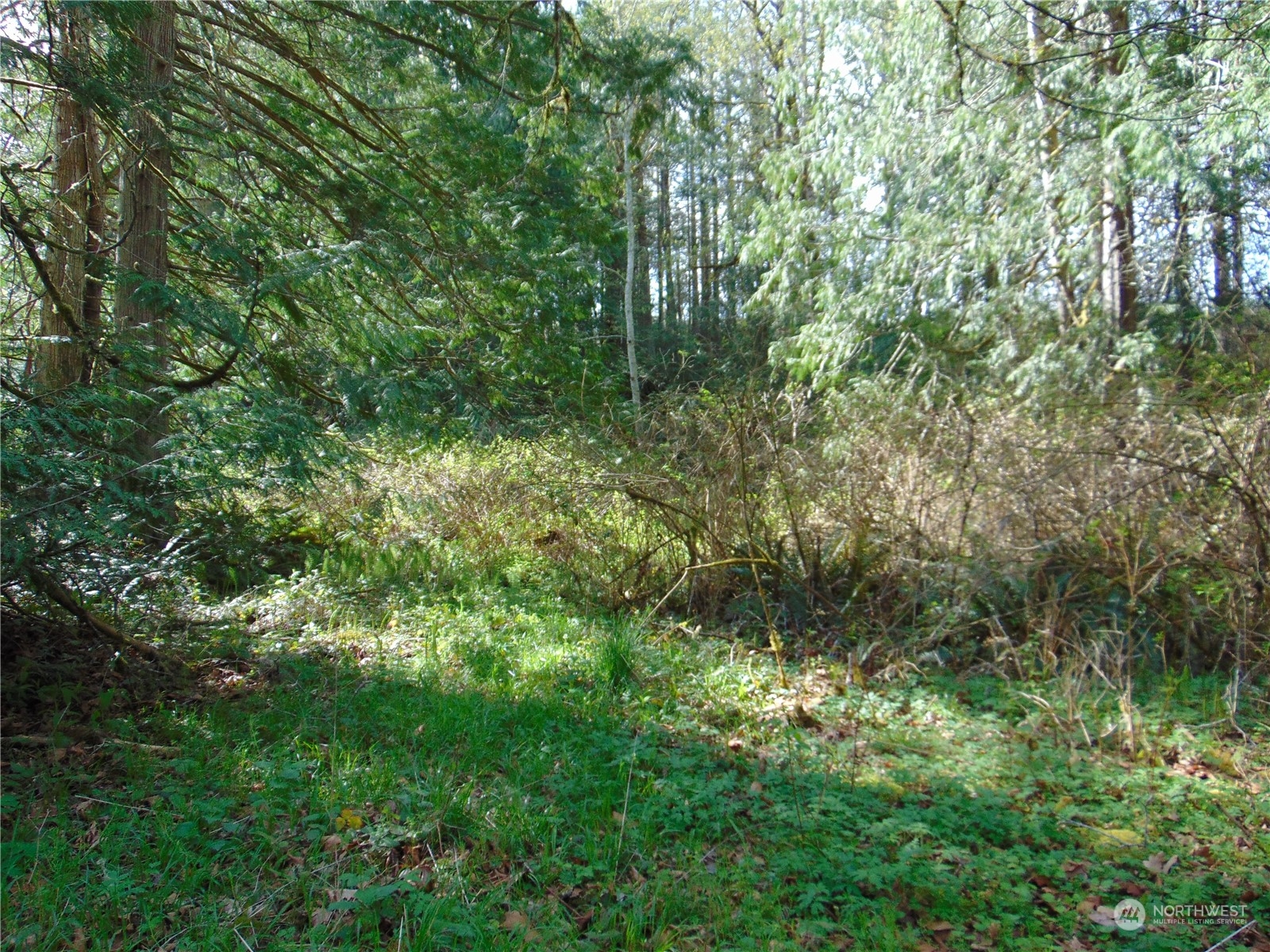 3001 Chicken Coop Road Sequim, WA 98382 - Photo 3 of 26 Gallery Image 3