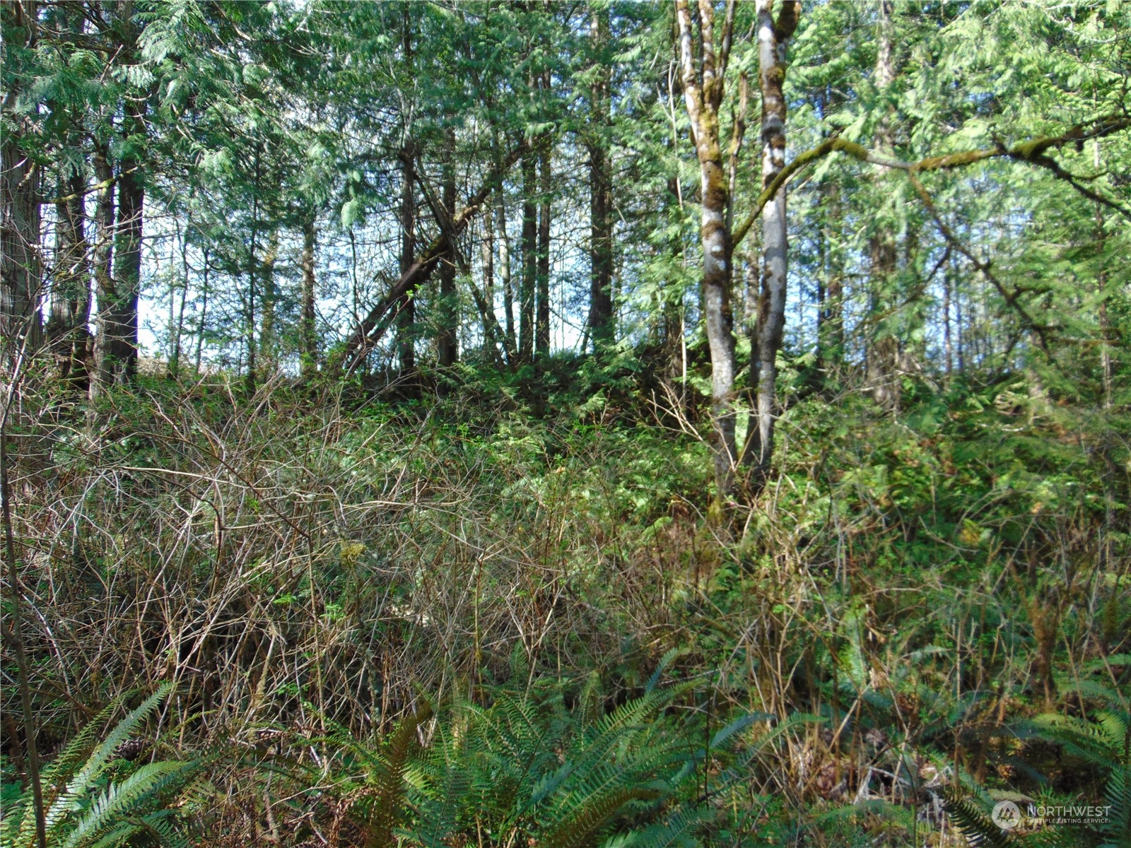 3001 Chicken Coop Road Sequim, WA 98382 - Photo 4 of 26 Gallery Image 4