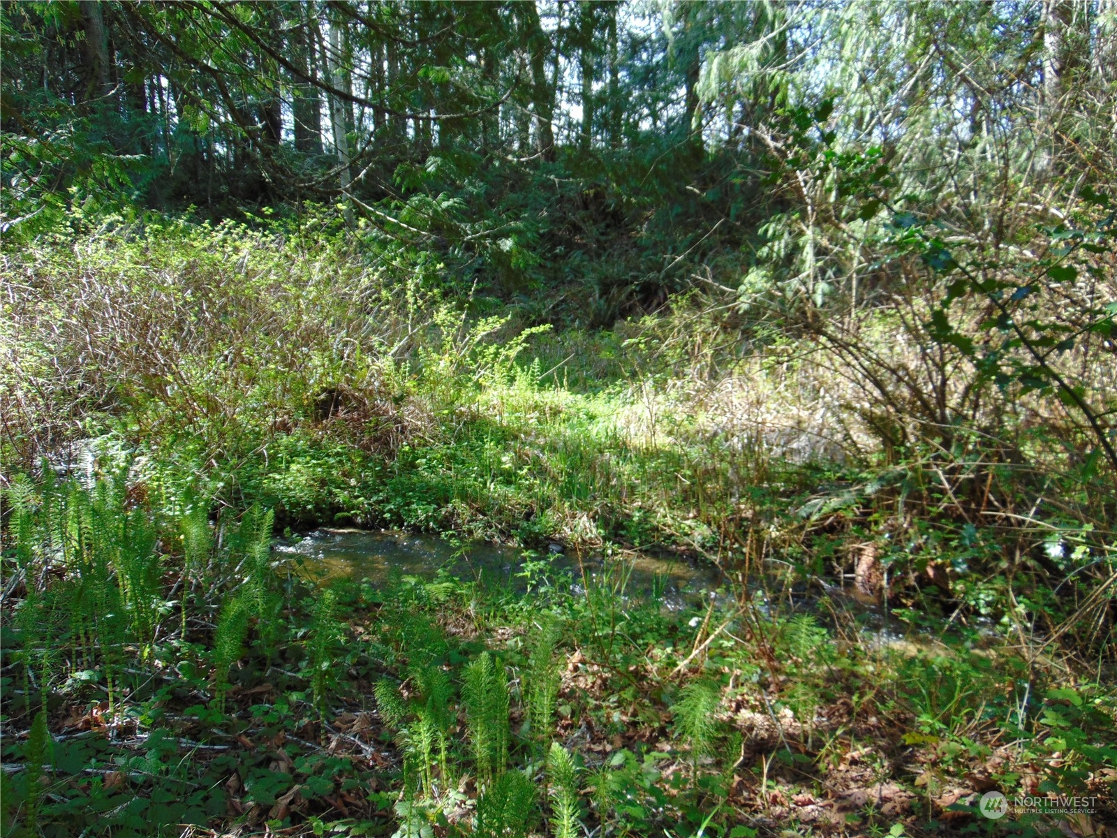 3001 Chicken Coop Road Sequim, WA 98382 - Photo 5 of 26 Gallery Image 5