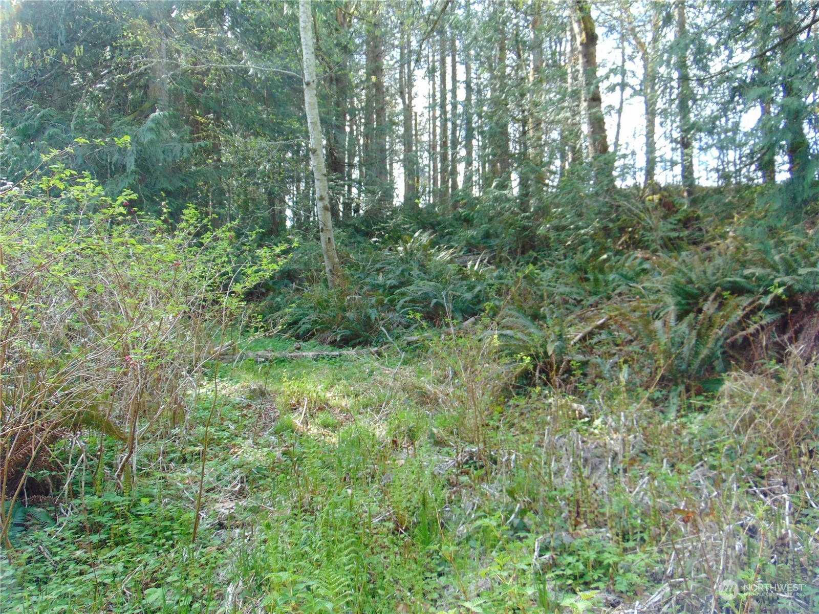 3001 Chicken Coop Road Sequim, WA 98382 - Photo 7 of 26 Gallery Image 7