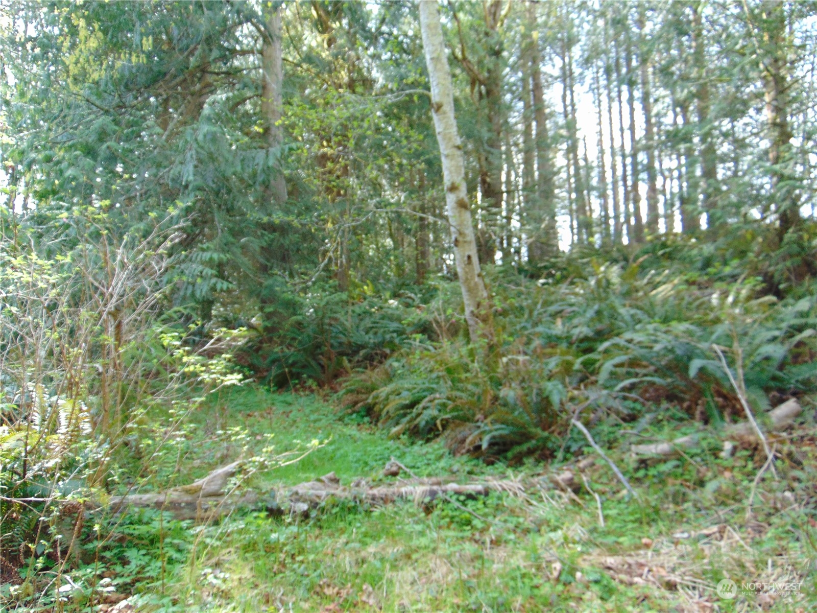 3001 Chicken Coop Road Sequim, WA 98382 - Photo 8 of 26 Gallery Image 8