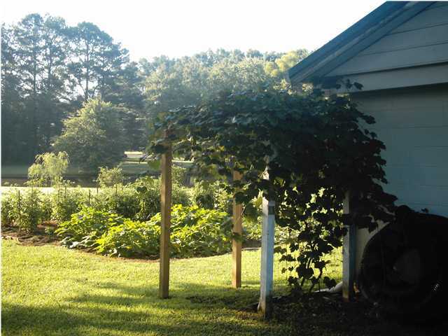 1123 East Reed Road LaFayette, GA 30728 - Photo 23 of 33 Additional Photo