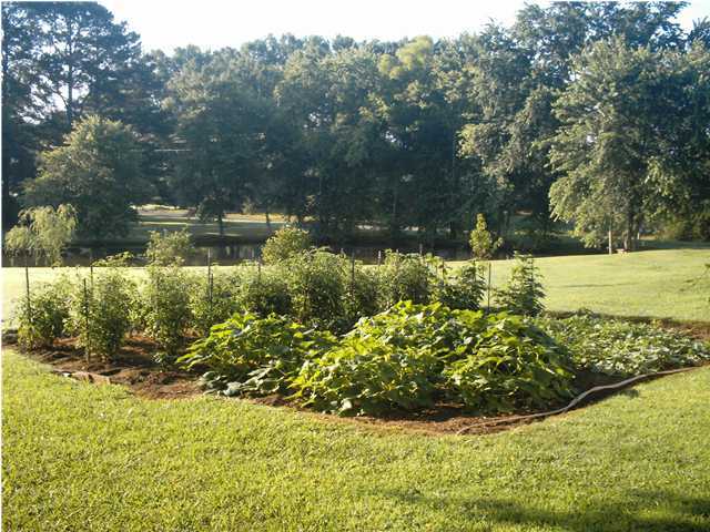 1123 East Reed Road LaFayette, GA 30728 - Photo 24 of 33 Additional Photo