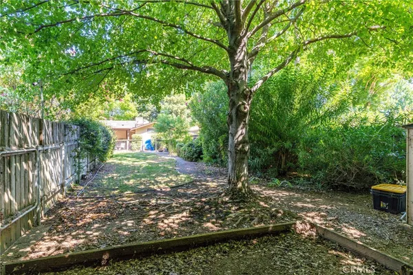 a view of a backyard with large trees
