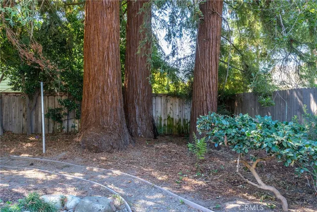 a backyard of a house with lots of green space