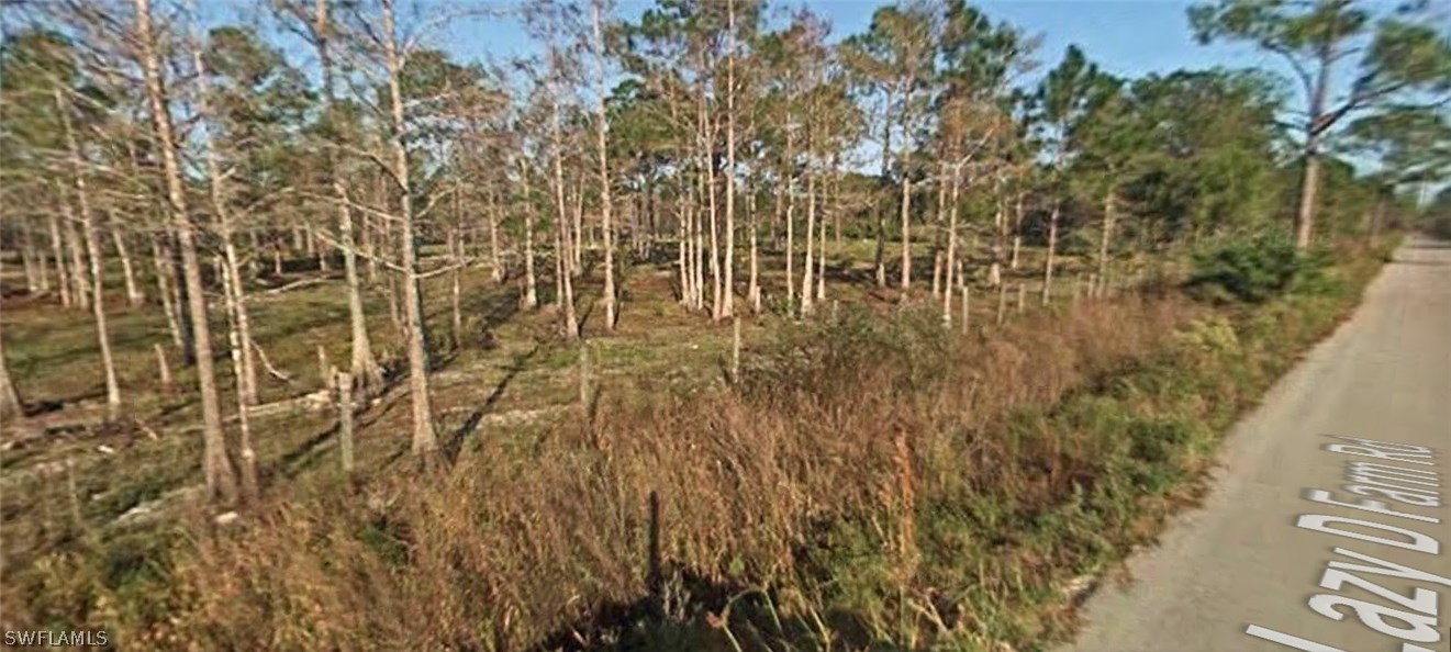 20730 Lazy D Farm Road Estero, FL 33928 - Photo 2 of 2 Gallery Image 2