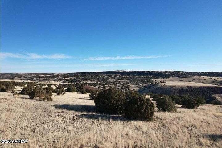 Six Ranches, Unit 22 Concho, AZ 85924 - Photo 13 of 16 20230215004130797012000000-o