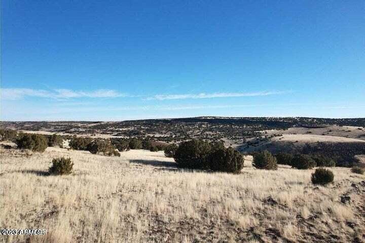 Six Ranches, Unit 22 Concho, AZ 85924 - Photo 14 of 16 20230215004132885541000000-o
