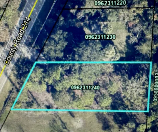 a view of a fruit basket