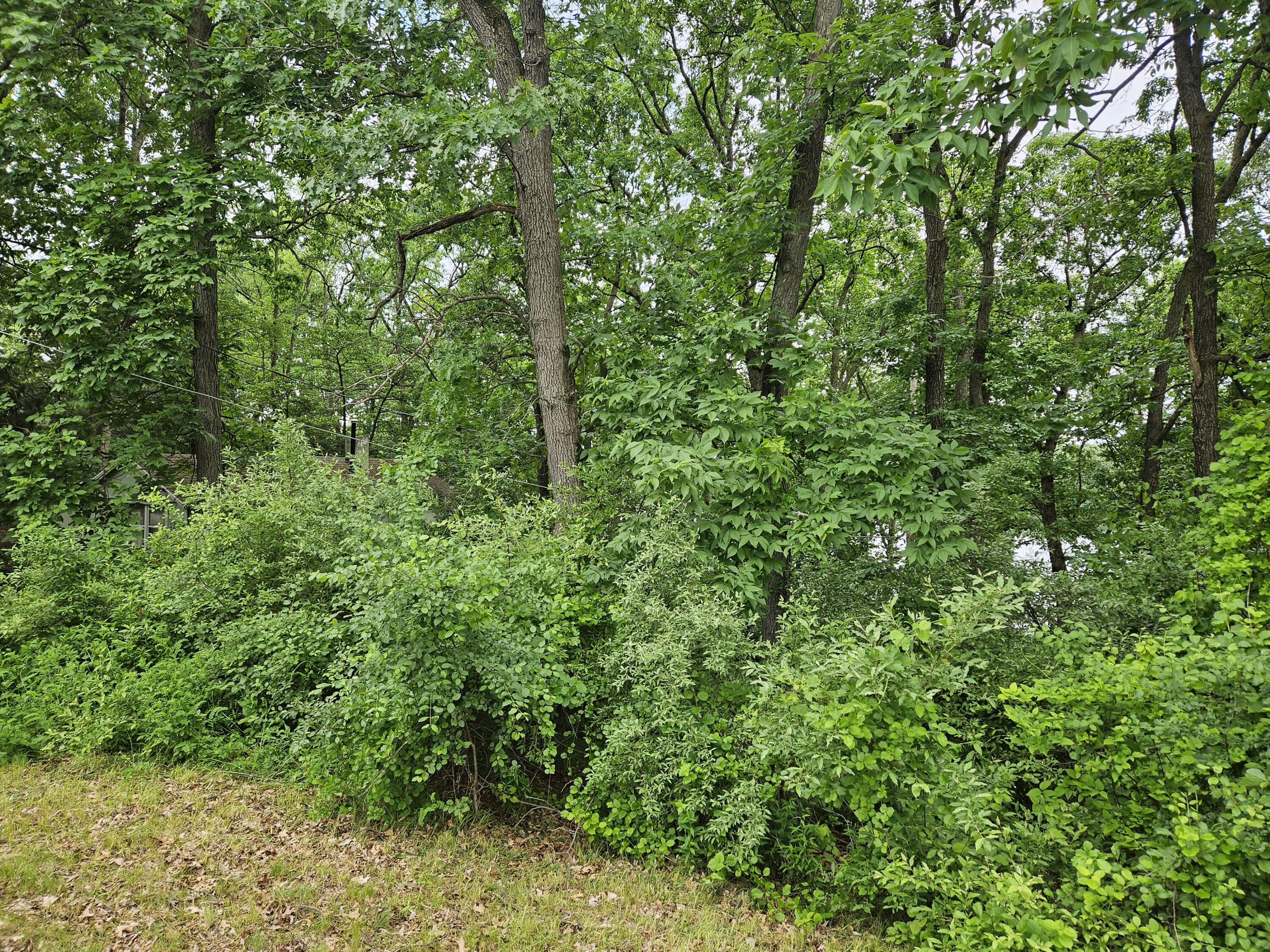 402 Highland Road Chelsea, MI 48118 - Photo 4 of 9 20240528_115343