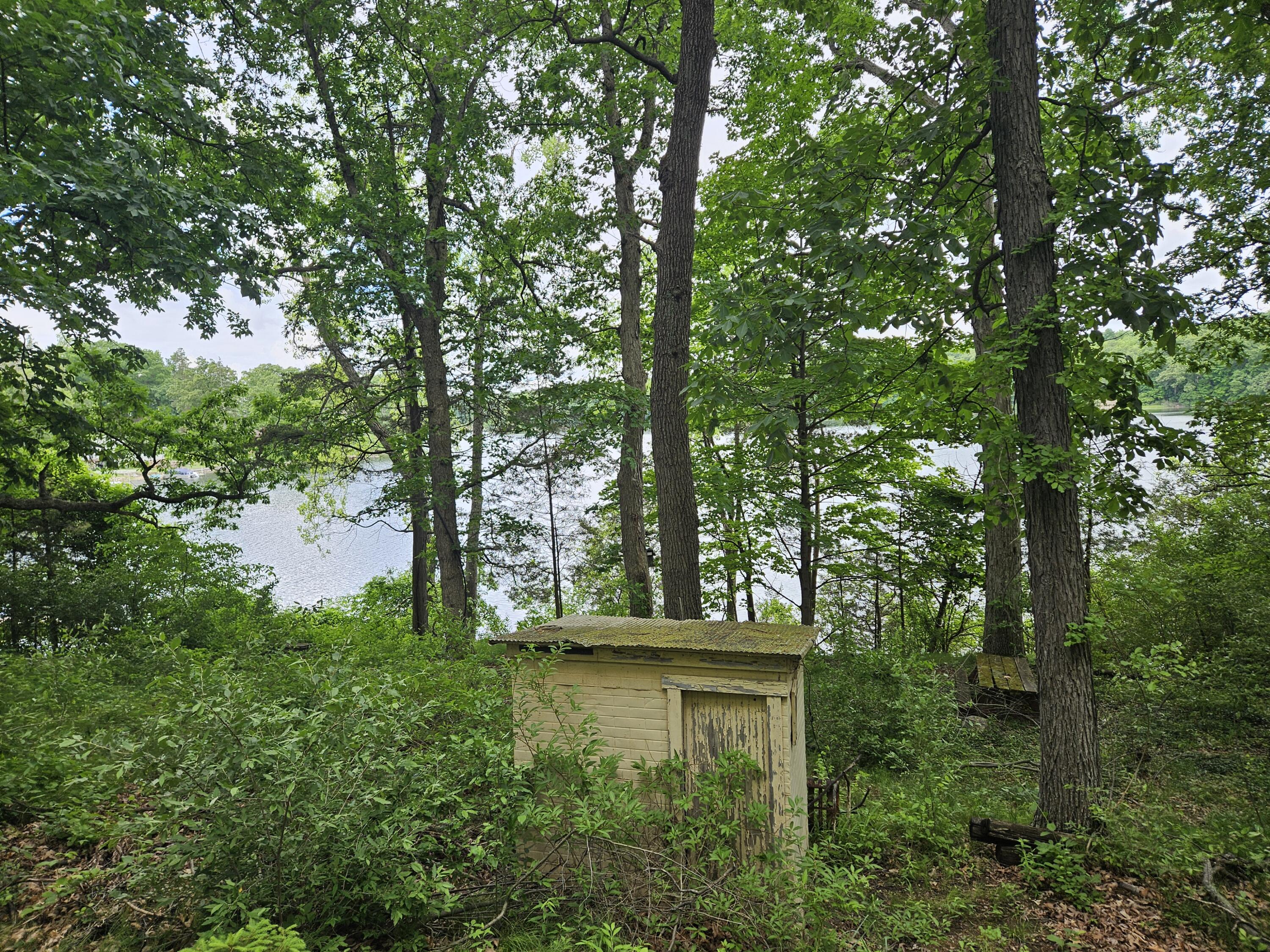 402 Highland Road Chelsea, MI 48118 - Photo 6 of 9 20240528_115652