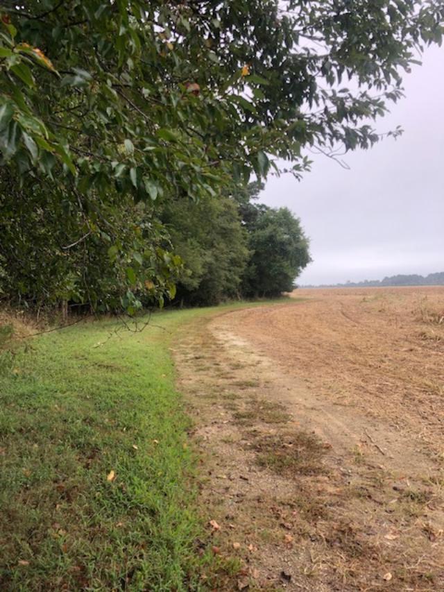 0 Fox Grove Road Parksley, VA 23421 - Photo 6 of 8
