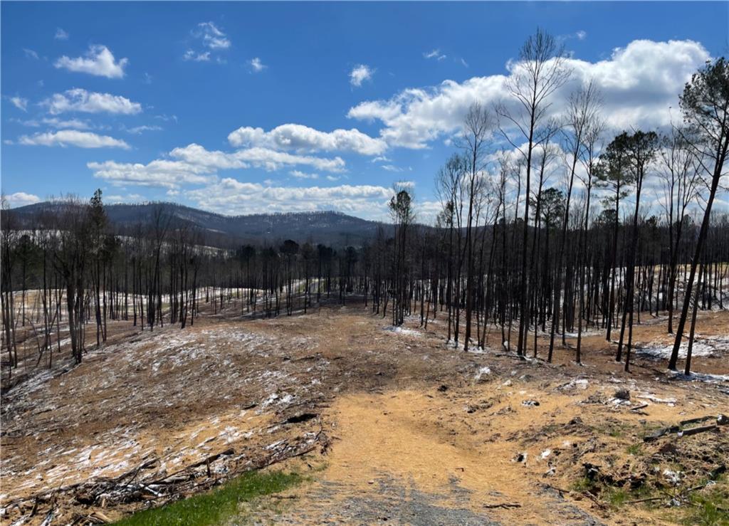 134 Twisted Oak Road Talking Rock, GA 30175 - Photo 16 of 23