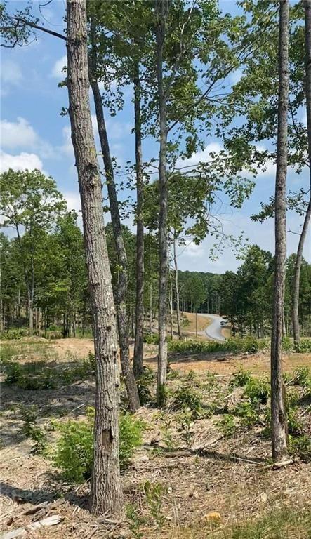 134 Twisted Oak Road Talking Rock, GA 30175 - Photo 18 of 23 a view of a yard with large trees