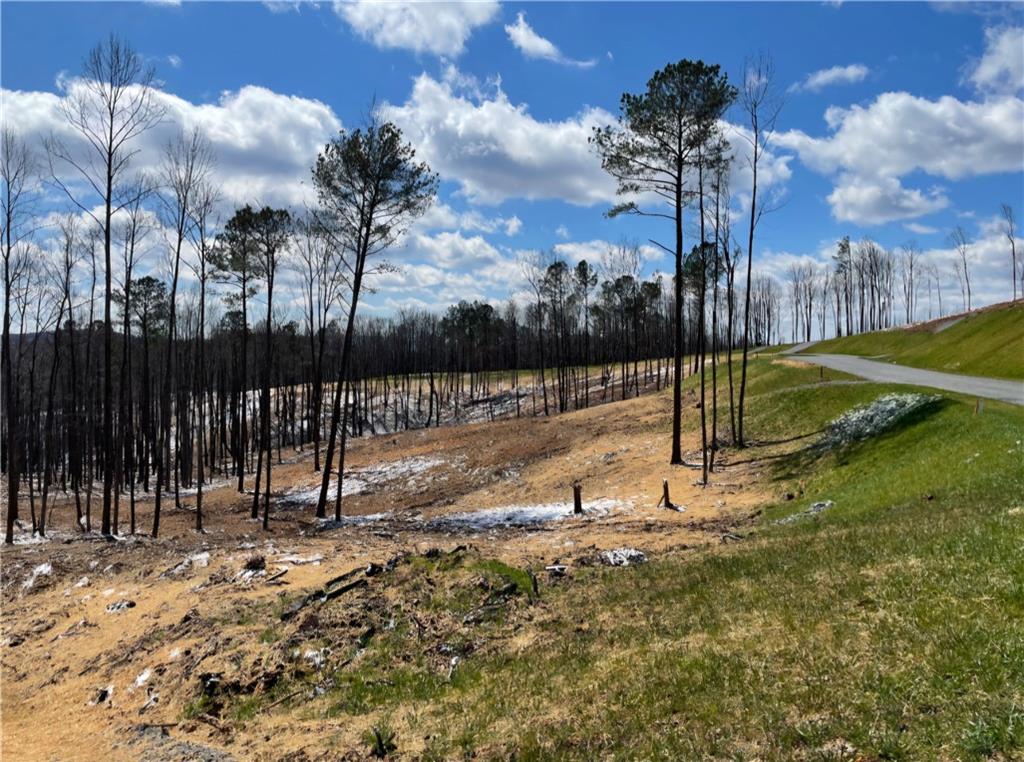 134 Twisted Oak Road Talking Rock, GA 30175 - Photo 2 of 23 a view of a park with swings