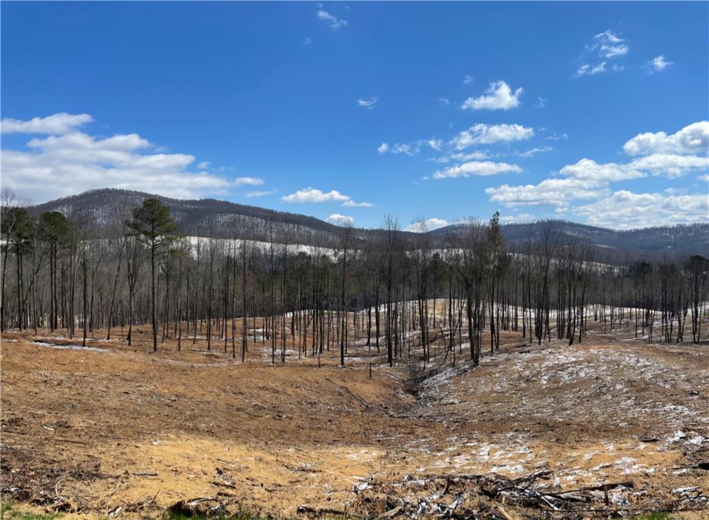 134 Twisted Oak Road Talking Rock, GA 30175 - Photo 4 of 23 a view of a basketball court