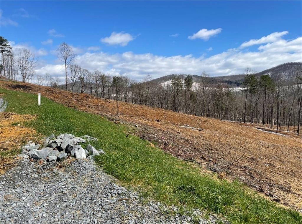 134 Twisted Oak Road Talking Rock, GA 30175 - Photo 7 of 23 a view of a yard with mountains in the background