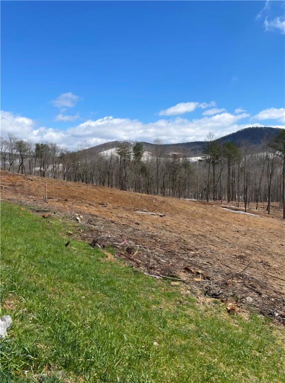134 Twisted Oak Road Talking Rock, GA 30175 - Photo 10 of 23 a view of outdoor space with mountain view
