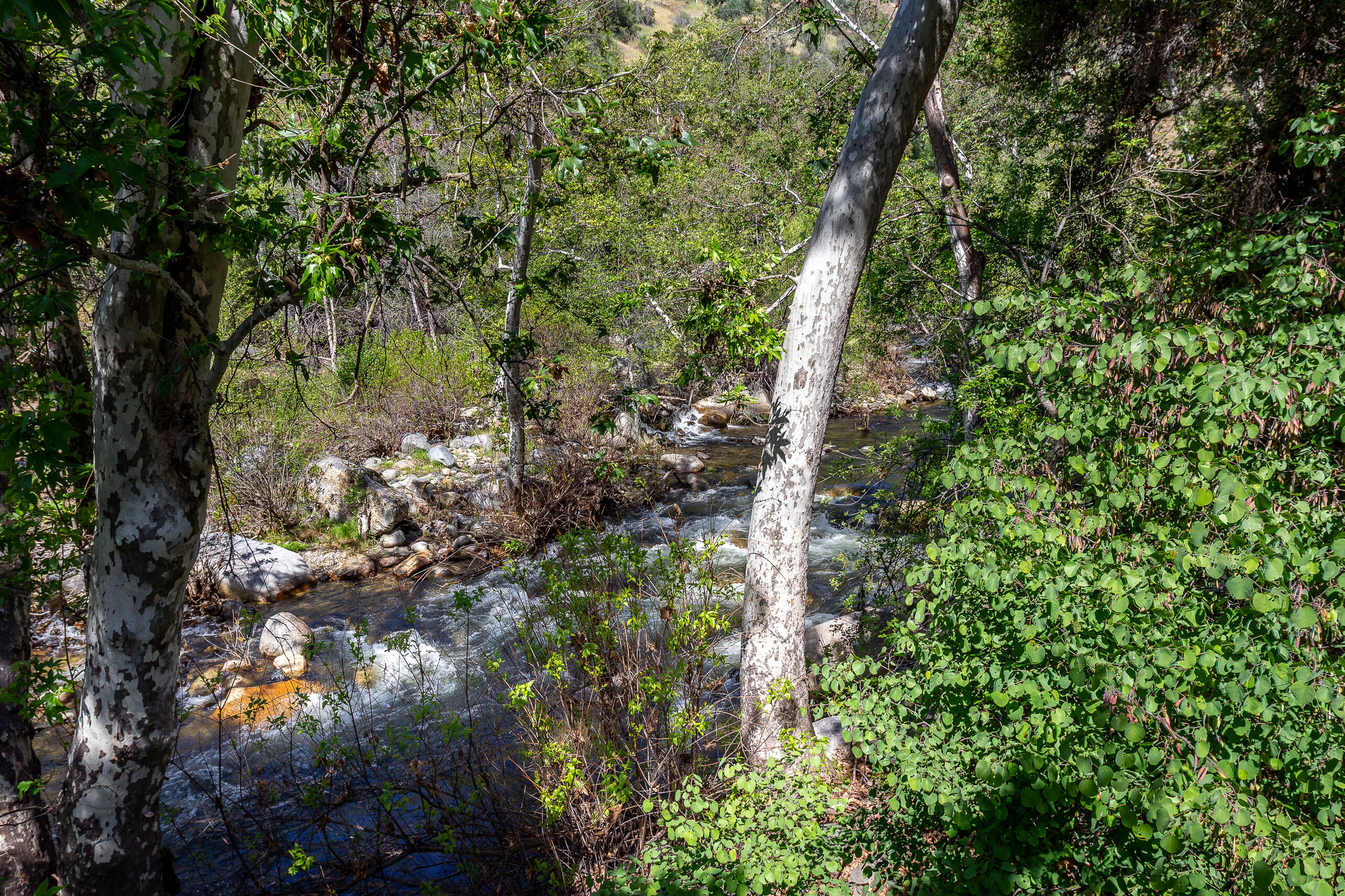 47993 North Fork Drive Three Rivers, CA 93271 - Photo 14 of 46 IMG_2003-HDR