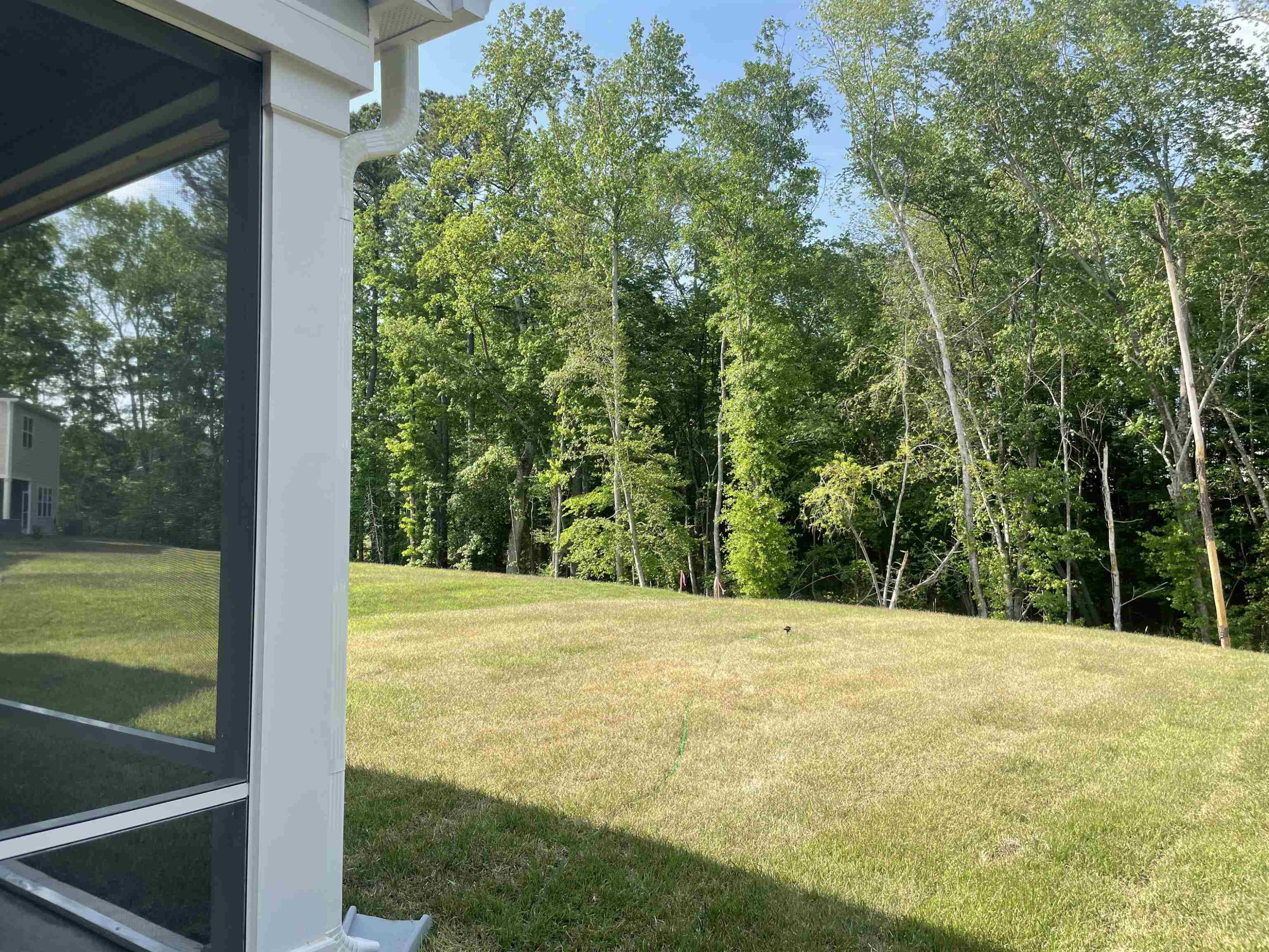 6020 Balance Court, Unit 2285 Raleigh, NC 27616 - Photo 6 of 24 Back yard