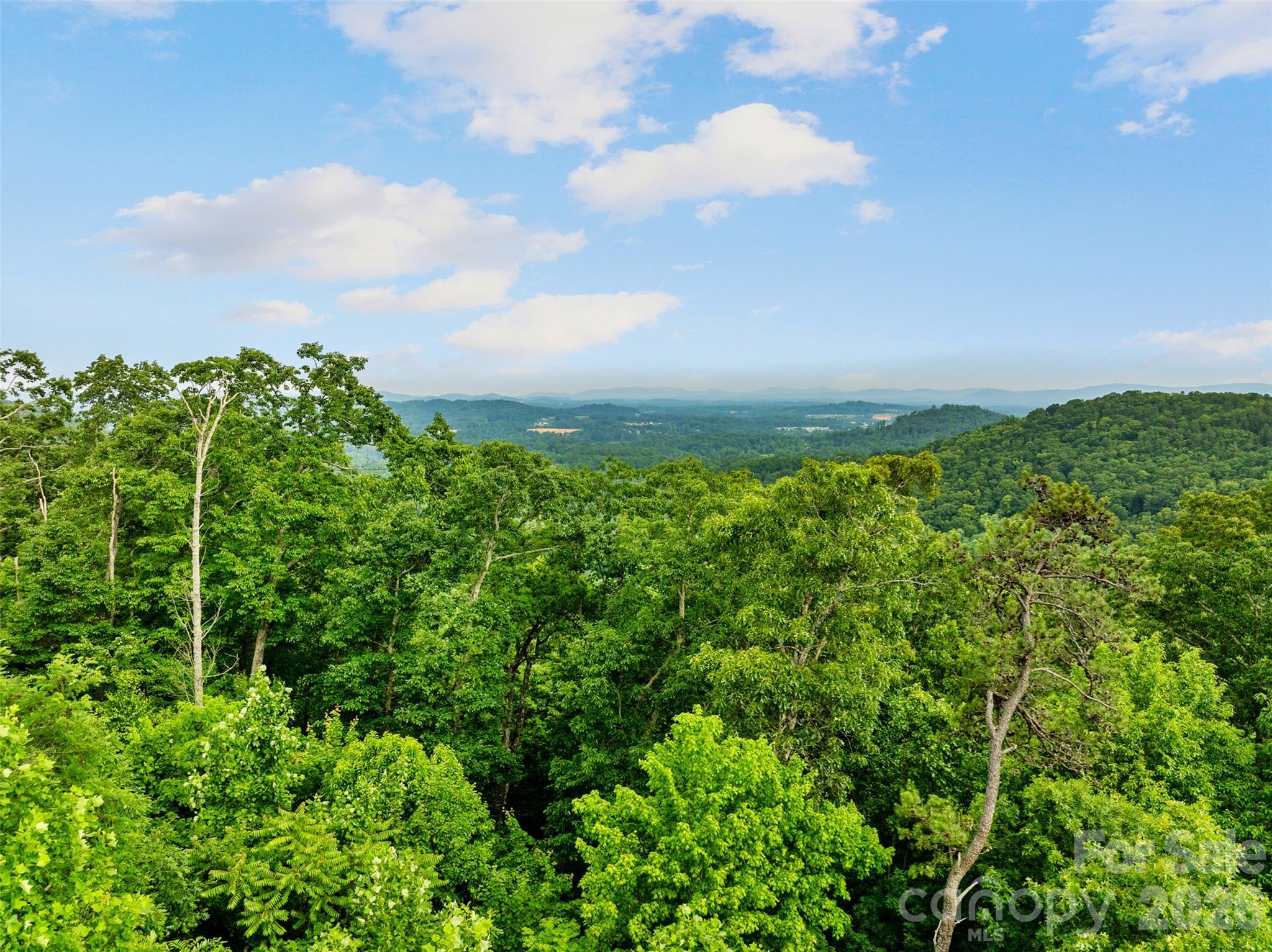 0 Locust Grove Road, Unit 2 Hendersonville, NC 28792 - Photo 1 of 19 a view of a field of grass and trees