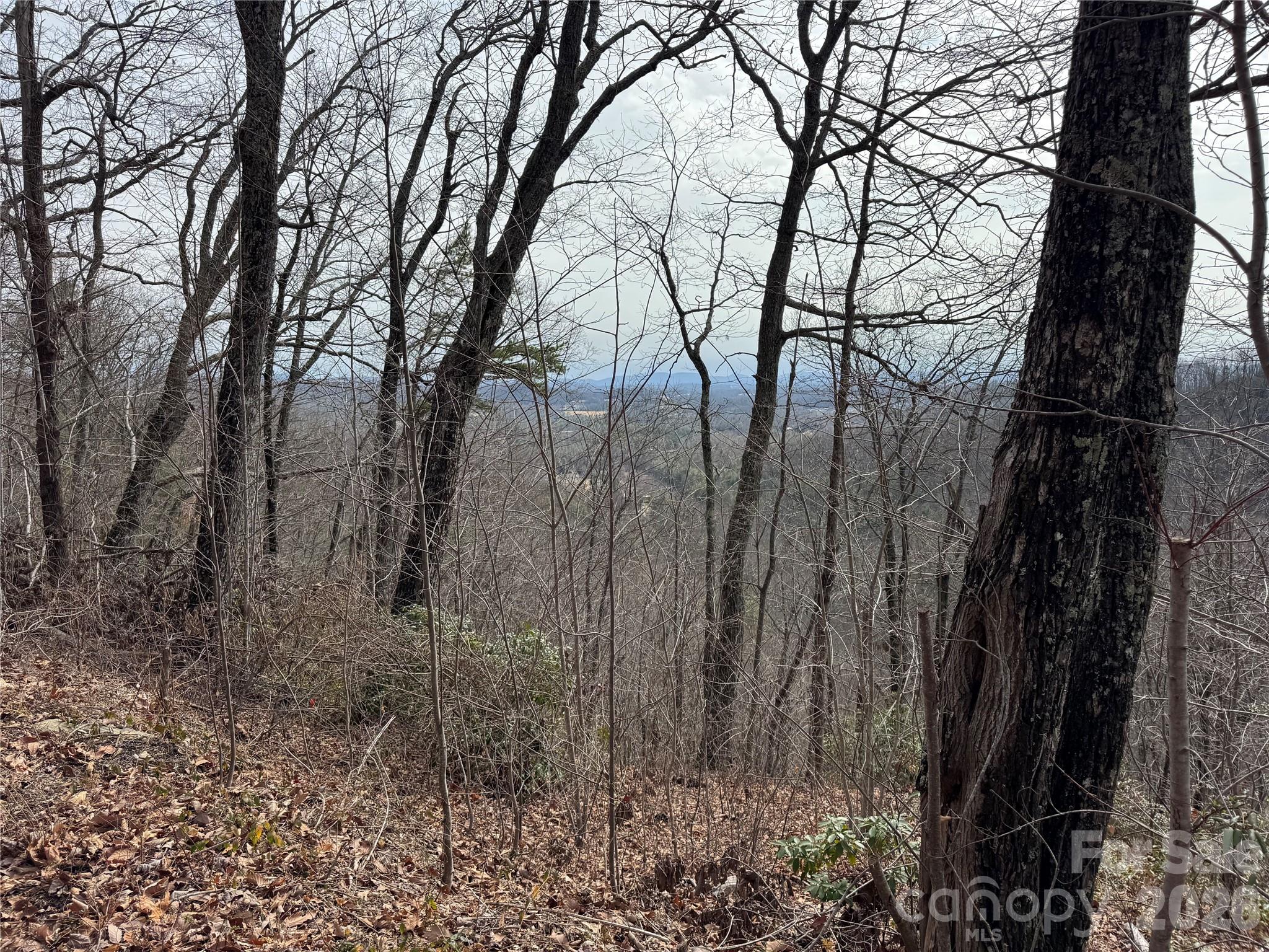 0 Locust Grove Road, Unit 2 Hendersonville, NC 28792 - Photo 11 of 19 a view of mountain with trees in the background