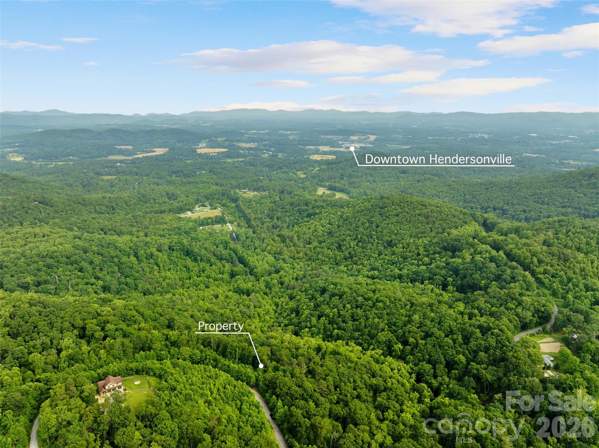 0 Locust Grove Road, Unit 2 Hendersonville, NC 28792 - Photo 12 of 19 a view of city with lush green forest