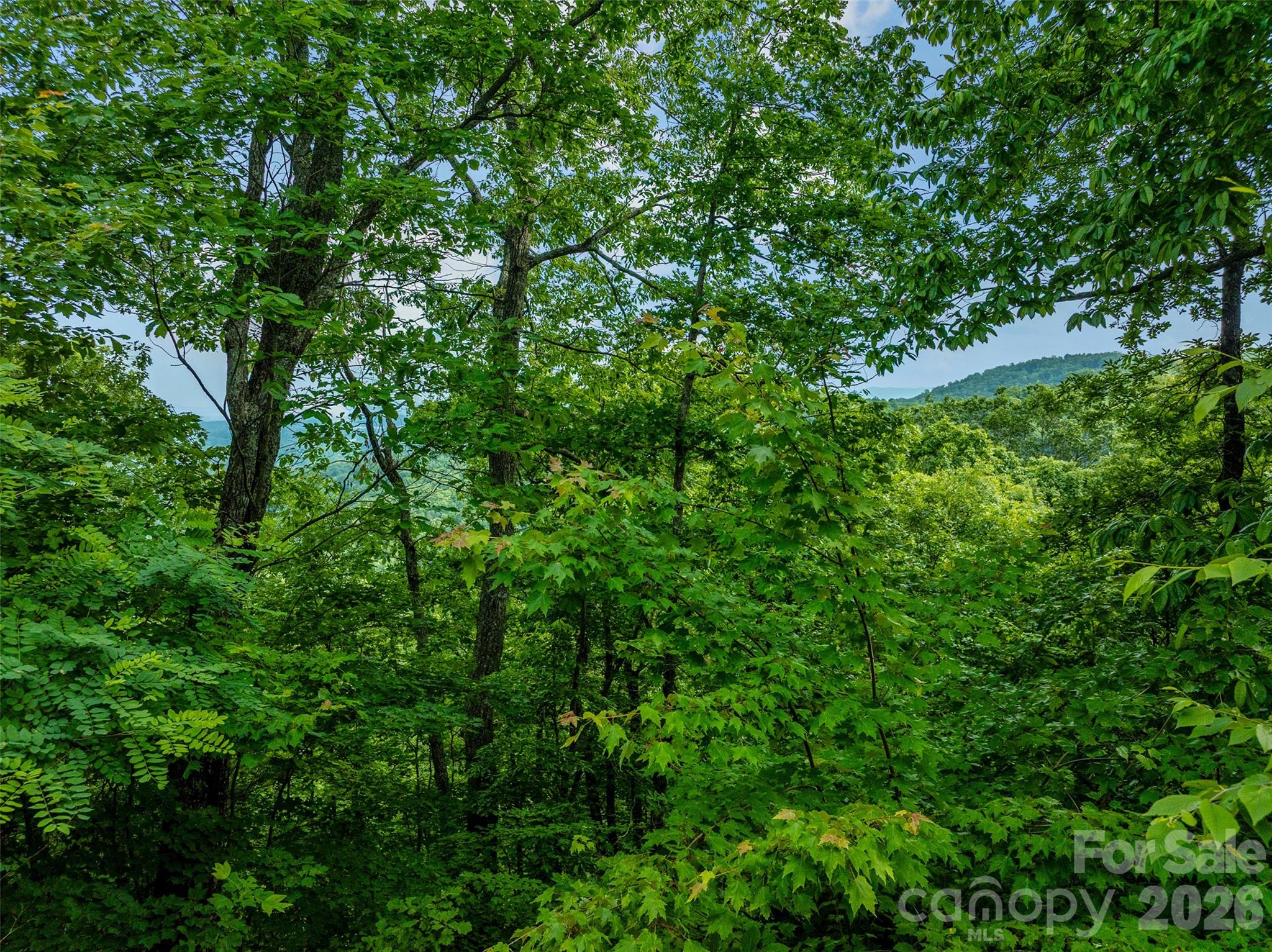 0 Locust Grove Road, Unit 2 Hendersonville, NC 28792 - Photo 13 of 19 a view of a lush green forest