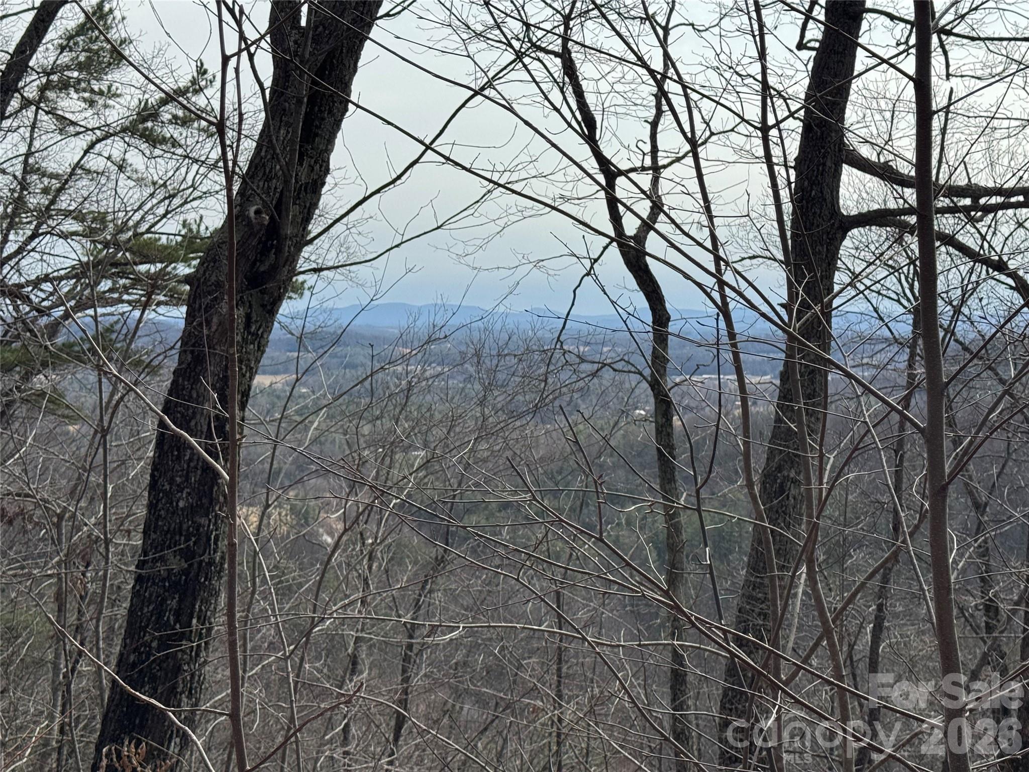 0 Locust Grove Road, Unit 2 Hendersonville, NC 28792 - Photo 14 of 19 a backyard of a house with lots of green space