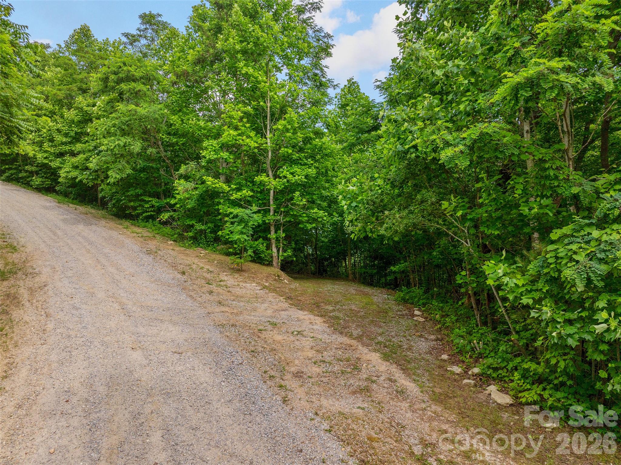 0 Locust Grove Road, Unit 2 Hendersonville, NC 28792 - Photo 15 of 19 a view of a field with plants and trees