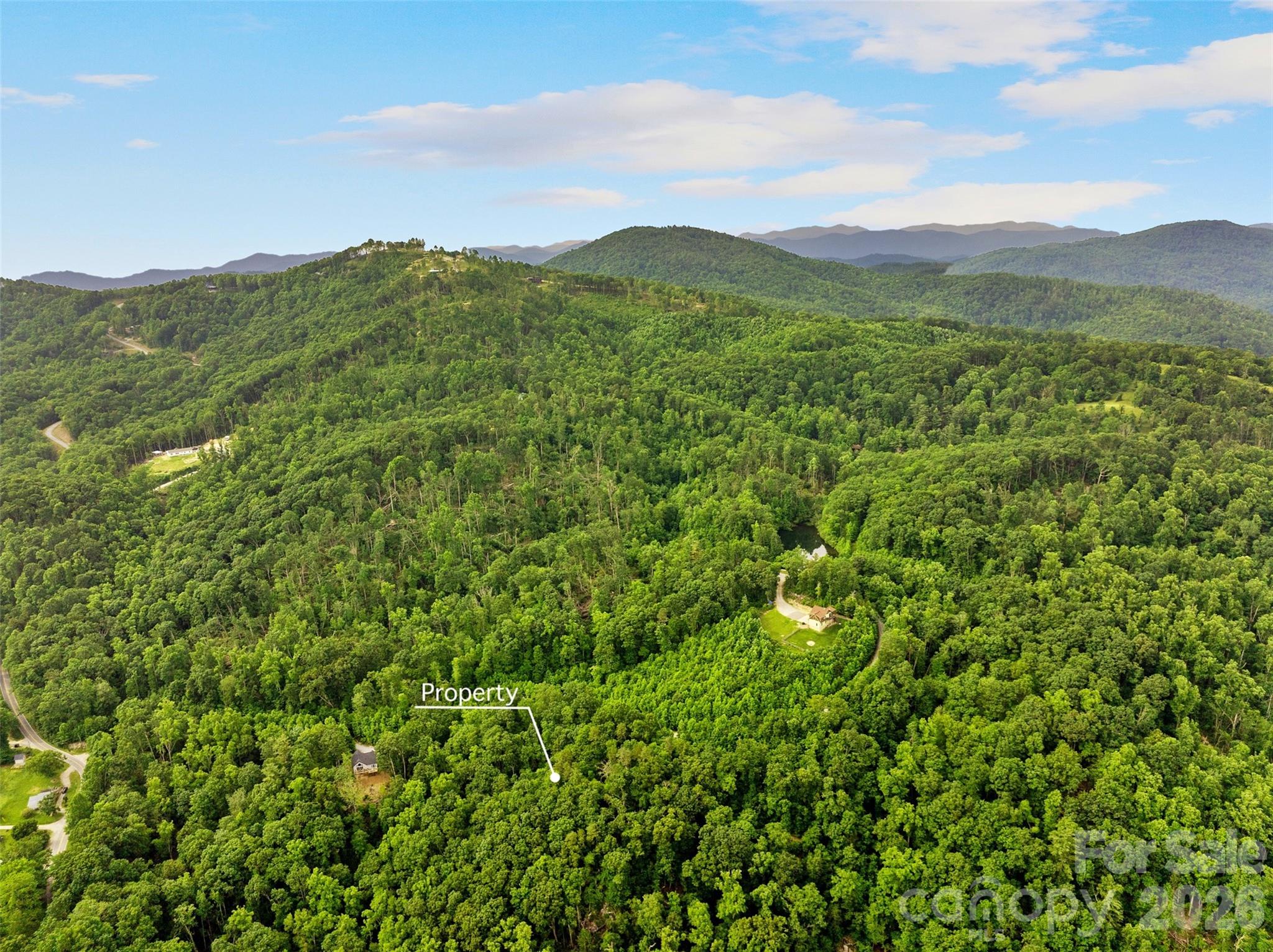 0 Locust Grove Road, Unit 2 Hendersonville, NC 28792 - Photo 16 of 19 a view of a lush green forest with mountains in the background