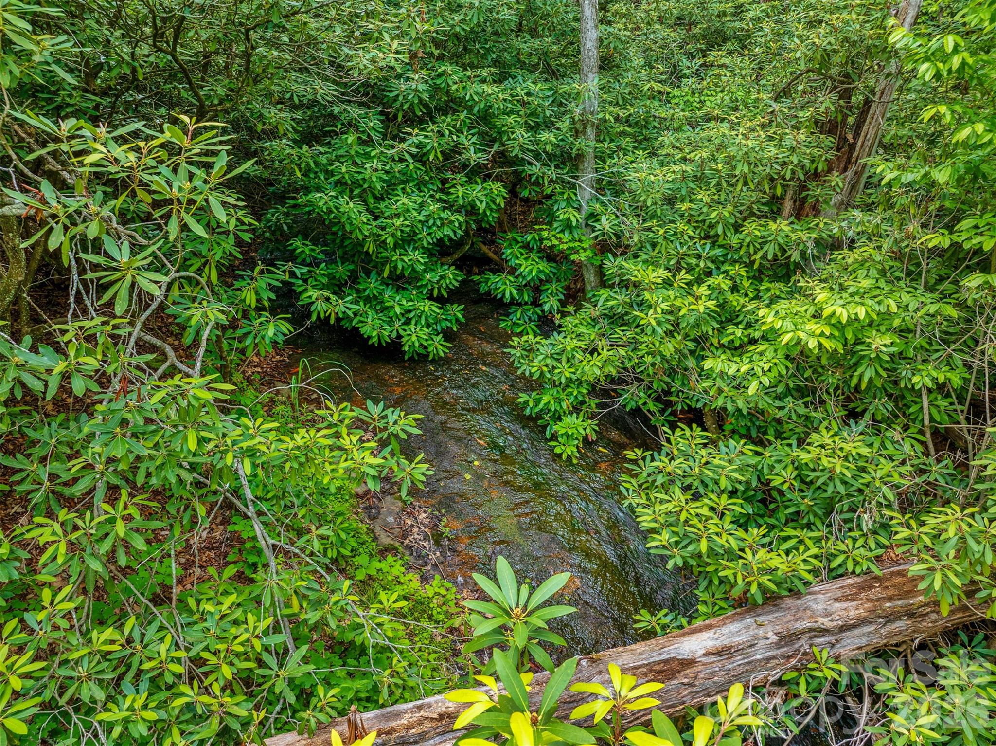 0 Locust Grove Road, Unit 2 Hendersonville, NC 28792 - Photo 17 of 19 a view of a garden