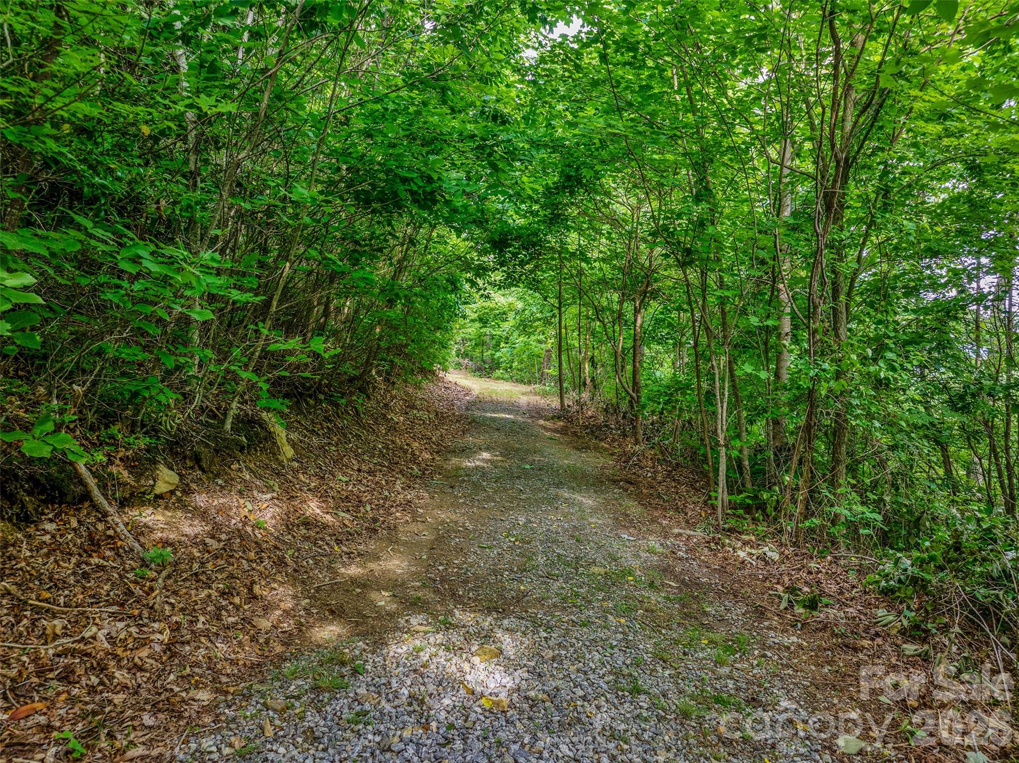 0 Locust Grove Road, Unit 2 Hendersonville, NC 28792 - Photo 3 of 19 a view of a forest with trees in the background