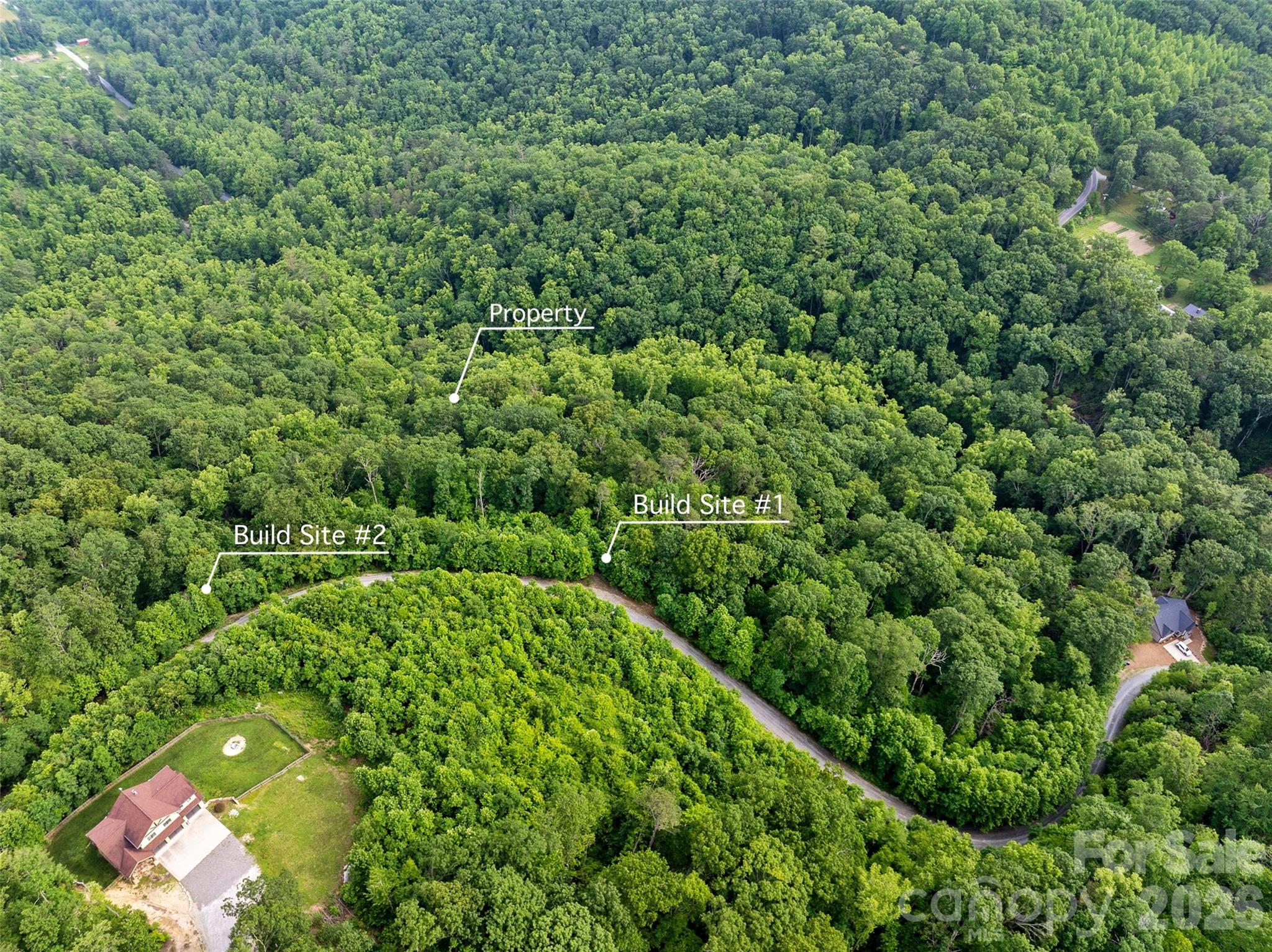 0 Locust Grove Road, Unit 2 Hendersonville, NC 28792 - Photo 5 of 19 a view of a lush green forest with a lush green forest