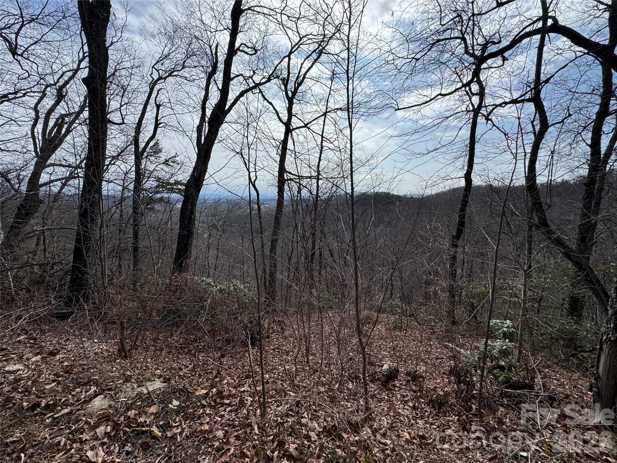 0 Locust Grove Road, Unit 2 Hendersonville, NC 28792 - Photo 6 of 19 a view of backyard with green space