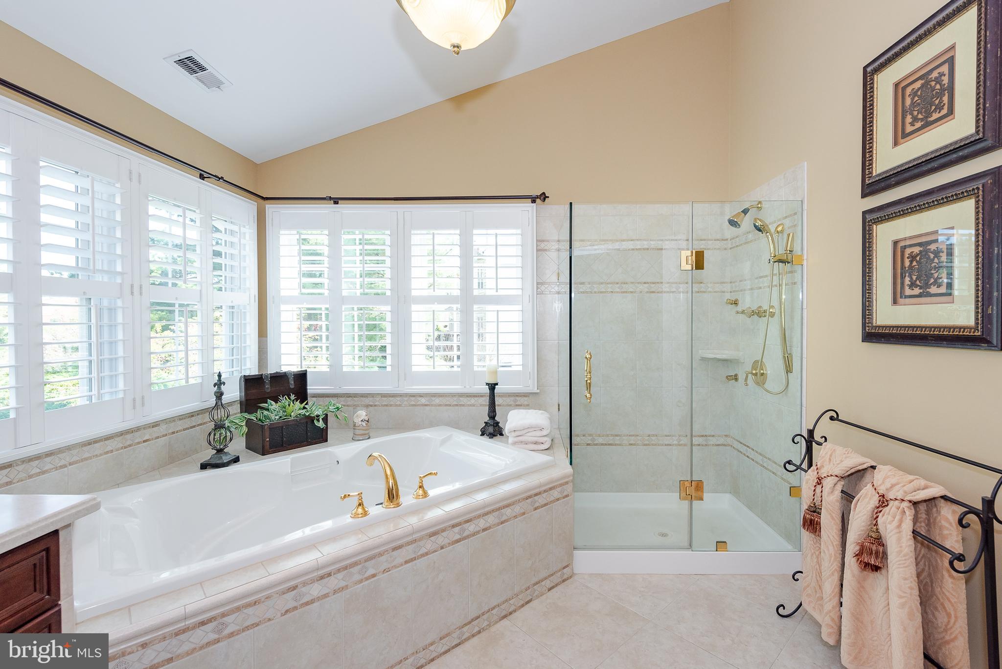 10240 Wetherburn Road Ellicott City, MD 21042 - Photo 33 of 52 Owner's Bathroom