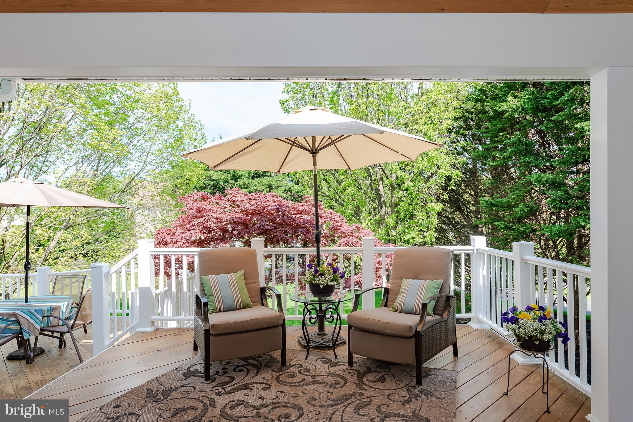 10240 Wetherburn Road Ellicott City, MD 21042 - Photo 49 of 52 Deck