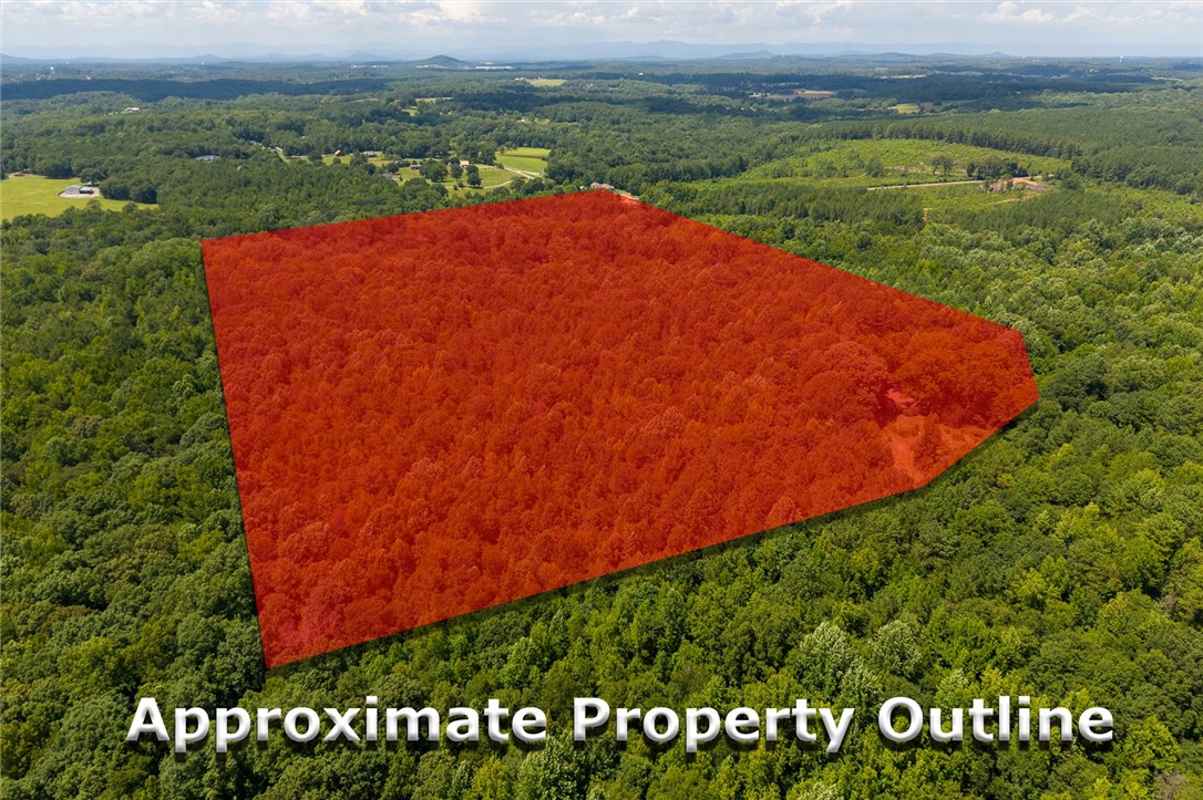 Discover vast, undeveloped acreage offering privacy and potential amid a lush, wooded landscape.