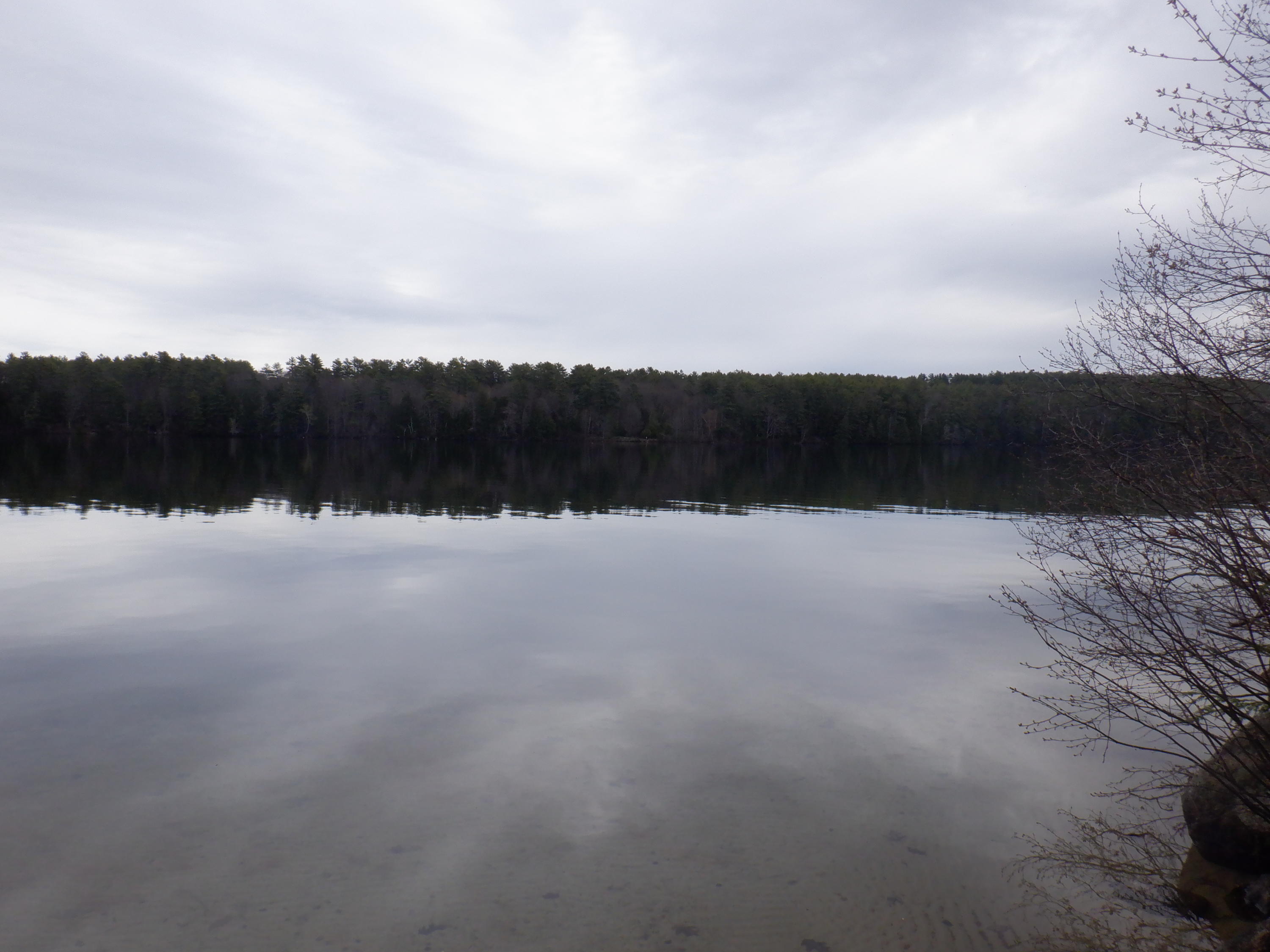 210 Trickey Pond Road Naples, ME 04055 - Photo 21 of 24 DSCF3348