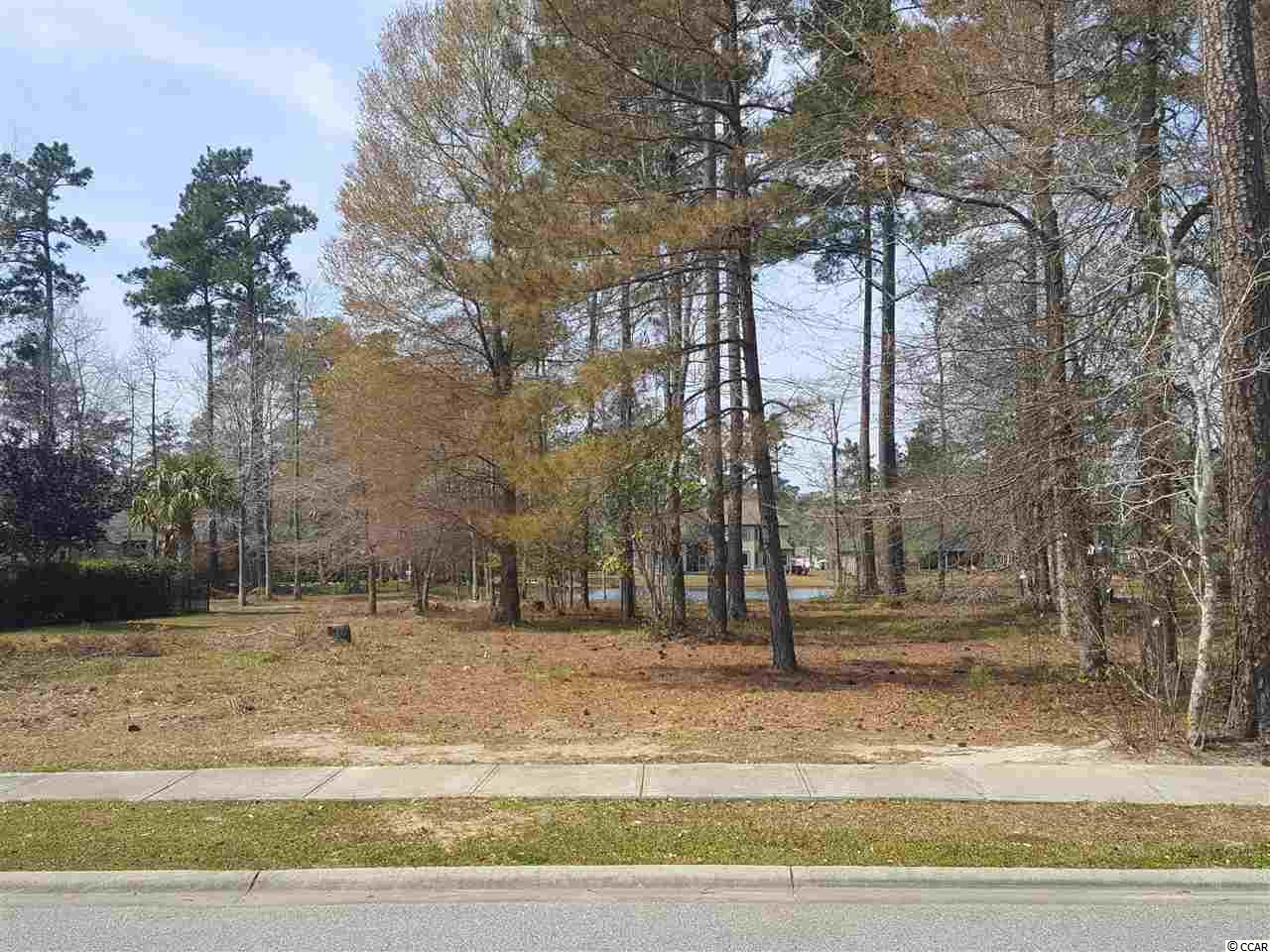 Lot 10 Chamberlin Road Myrtle Beach, SC 29588 - Photo 1 of 30 Gallery Image 1