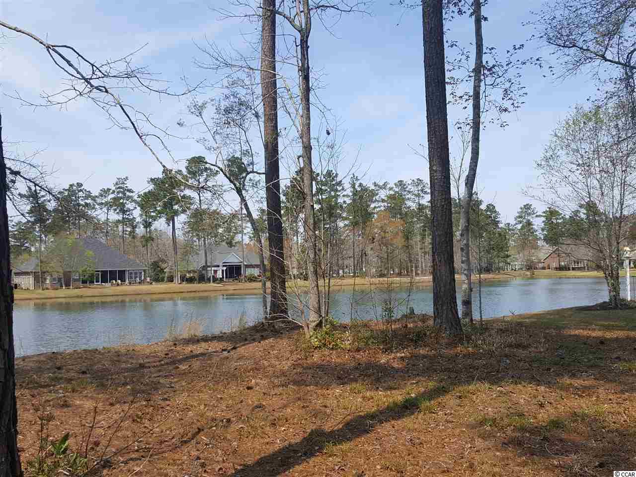 Lot 10 Chamberlin Road Myrtle Beach, SC 29588 - Photo 3 of 30 Gallery Image 3