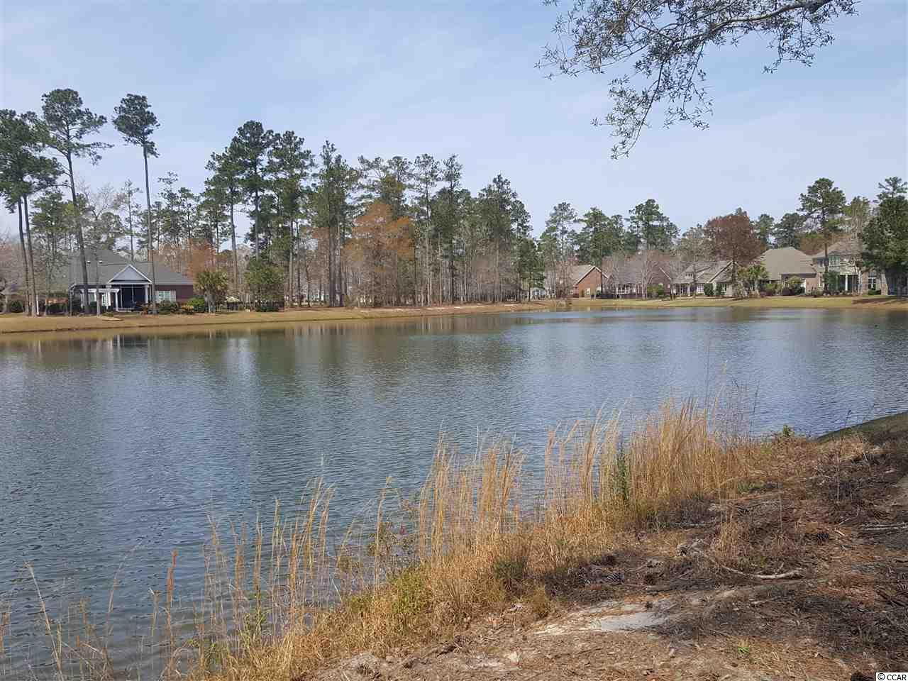 Lot 10 Chamberlin Road Myrtle Beach, SC 29588 - Photo 4 of 30 Gallery Image 4