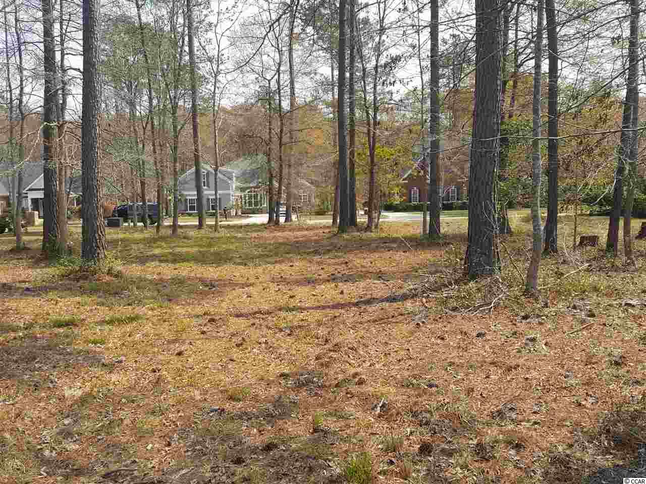 Lot 10 Chamberlin Road Myrtle Beach, SC 29588 - Photo 5 of 30 Gallery Image 5