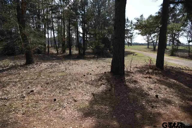 $199,900 | Lot 11 Acr 450, Montalba, TX 75853