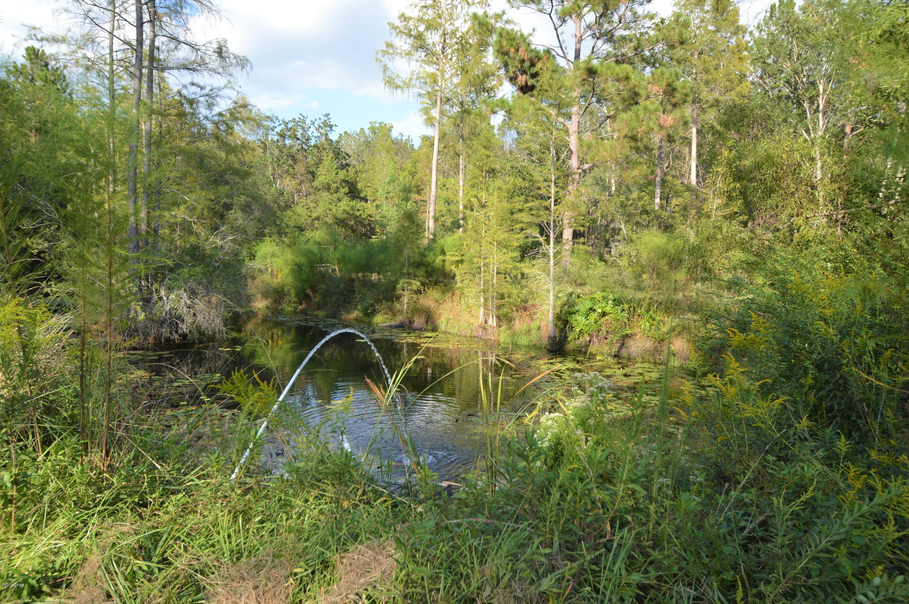 2367 Tiller Road Chipley, FL 32428 - Photo 8 of 22