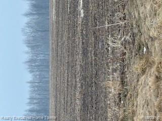 0 Jeddo Road Avoca, MI 48006 - Photo 2 of 2