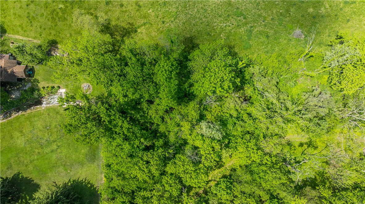 4617 Bath Road Dayton, OH 45424 - Photo 6 of 8 An aerial view showcases a vibrant, verdant landscape with extensive tree coverage and open grassy areas.