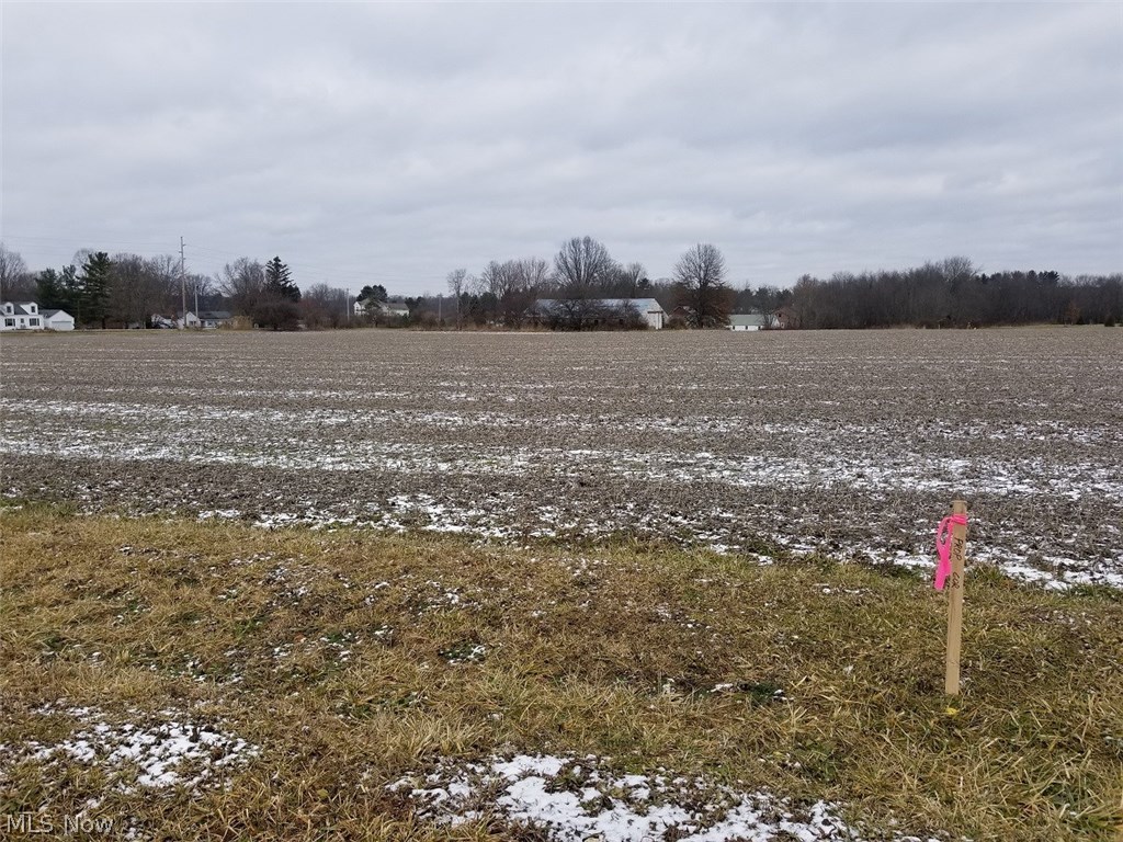 Vl Fixler Road Wadsworth, OH 44281 - Photo 6 of 16