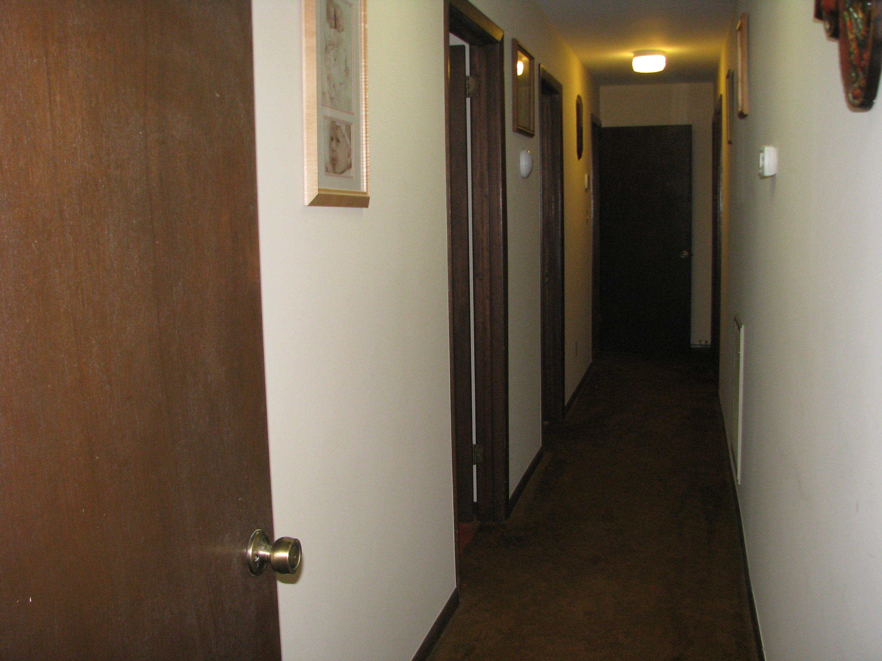 333 Ogle Road Seymour, TN 37865 - Photo 17 of 27 IMG_8849